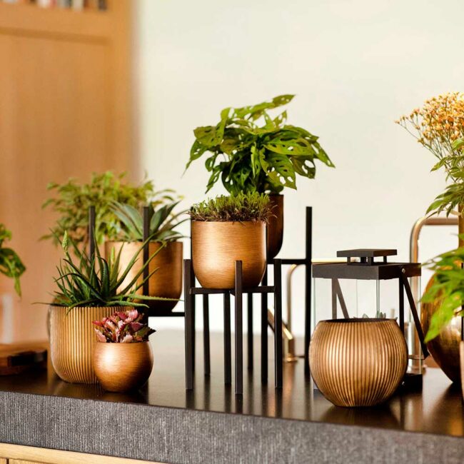PLANTER BALL GROOVE BLACK & GOLD 10X9CM - Image 3