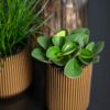 PLANTER VASE HIGH GROOVE BLACK & GOLD 14X22CM - Image 2