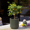 PLANTER VASE CYLINDER GROOVE GREEN 15X17CM - Image 2