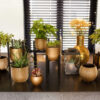 PLANTER BALL GROOVE BLACK & GOLD 8X7CM - Image 3