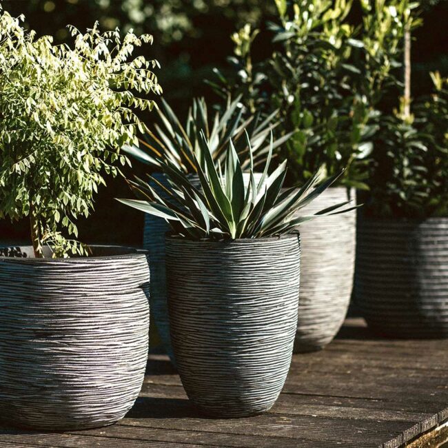 PLANTER BALL RIB ANTHRACITE 55X53CM - Image 5