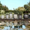 PLANTER BALL RIB ANTHRACITE 55X53CM - Image 4