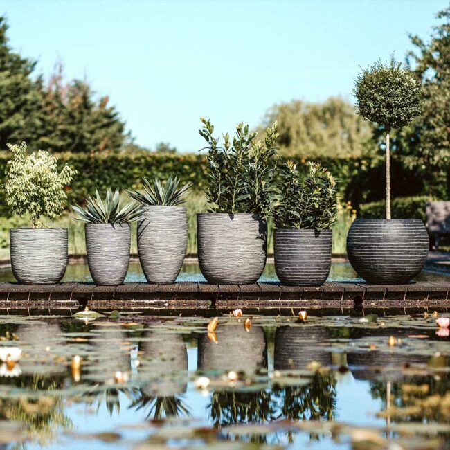 PLANTER BALL RIB ANTHRACITE 55X53CM - Image 4