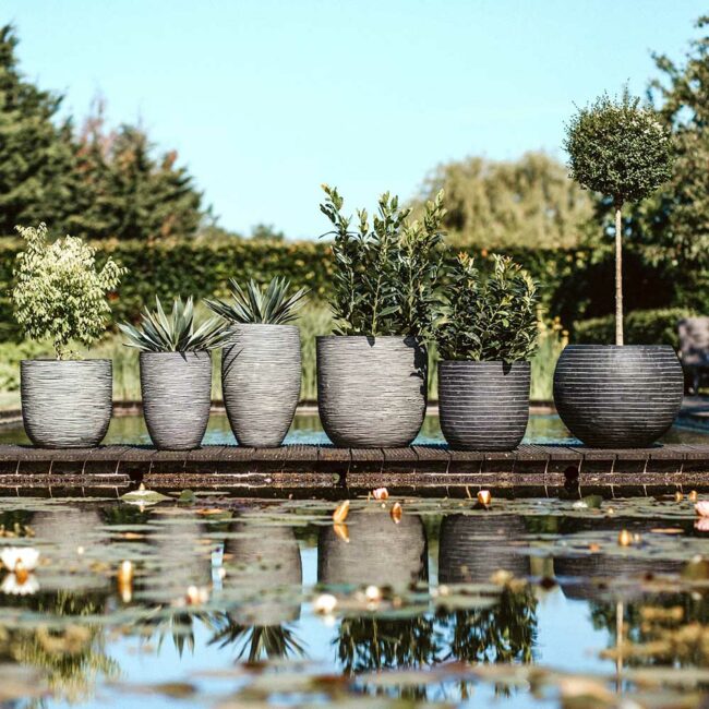 PLANTER BALL RIB ANTHRACITE 55X53CM - Image 3