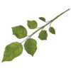 SET OF 4 JEM ROSE LEAVES 13-34MM - Image 2