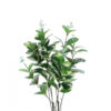 EUCALYPTUS TWIG DECOR ASSORTED 70CM - Image 2