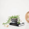 PLANTER ORGANIC SHAPE BLACK 19X19X13CM - Image 2