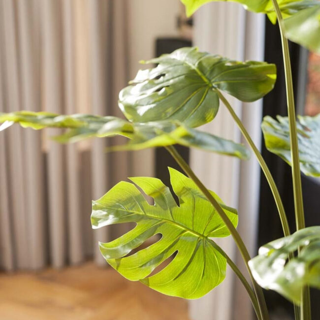 MONSTERA PLANT WITH 14 LEAVES 95CM - Image 3