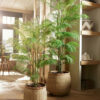 CHAMAEDOREA PALM 120CM - Image 2