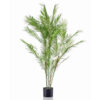 CHAMAEDOREA PALM 120CM