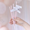 PAPER STRAWS TEAM BRIDE 19CM 16PCS - Image 2