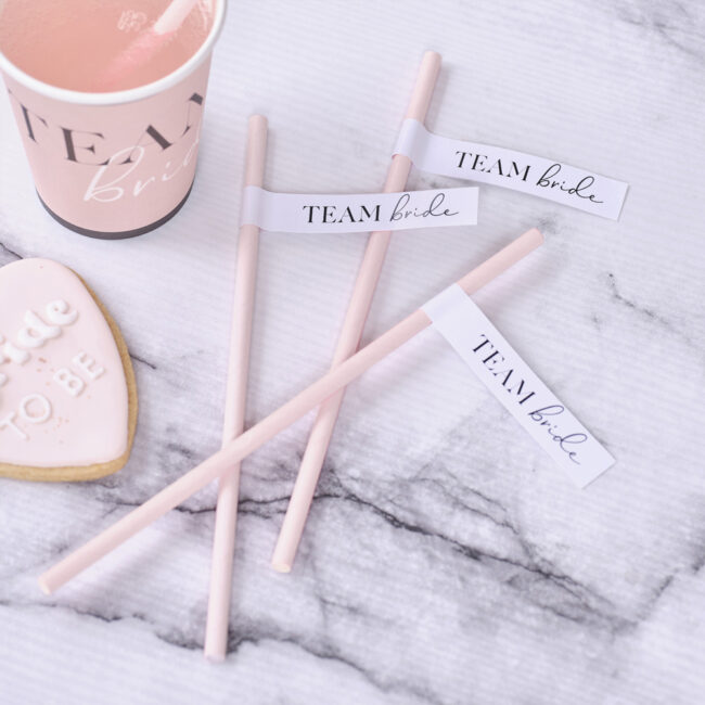 PAPER STRAWS TEAM BRIDE 19CM 16PCS - Image 3