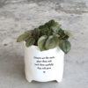 PLANTER "DREAMS ARE LIKE SEEDS" 8X10.5X9CM - Image 3