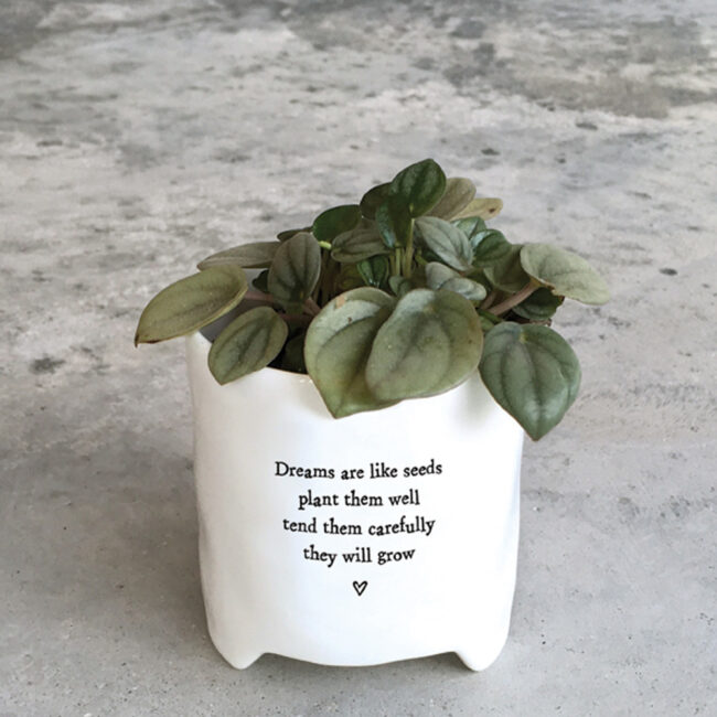 PLANTER "DREAMS ARE LIKE SEEDS" 8X10.5X9CM - Image 3