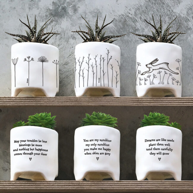PLANTER "DREAMS ARE LIKE SEEDS" 8X10.5X9CM - Image 4