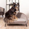 PET SOFA VENUE VELVET WARM GREY 81X61X41.5CM - Image 2