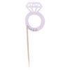 CAKE TOPPERS TEAM BRIDE 5X4CM