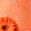 OIL BASED COLORING ORANGE 100ML - Image 2