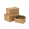 TRUNK WITH LID ESTHER NATURAL