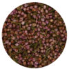 EDIBLE DRIED FLOWERS HEATHER 10G - Image 2
