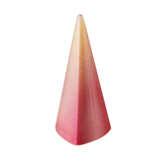 POLYCARBON MOULD PYRAMIDS 275X175MM 28PCS - Image 3