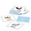 PICTURE CARDS DOMESTIC ANIMALS - Image 2