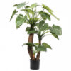 ALOCASIA GREEN 170CM