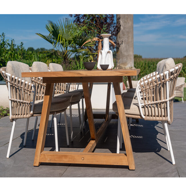 DALIAS DINING CHAIR WHITE W/2 CUSHIONS - Image 6