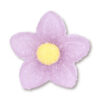SUGAR GEL CROCUS 6CLRS - Image 6