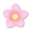SUGAR GEL CROCUS 6CLRS - Image 5