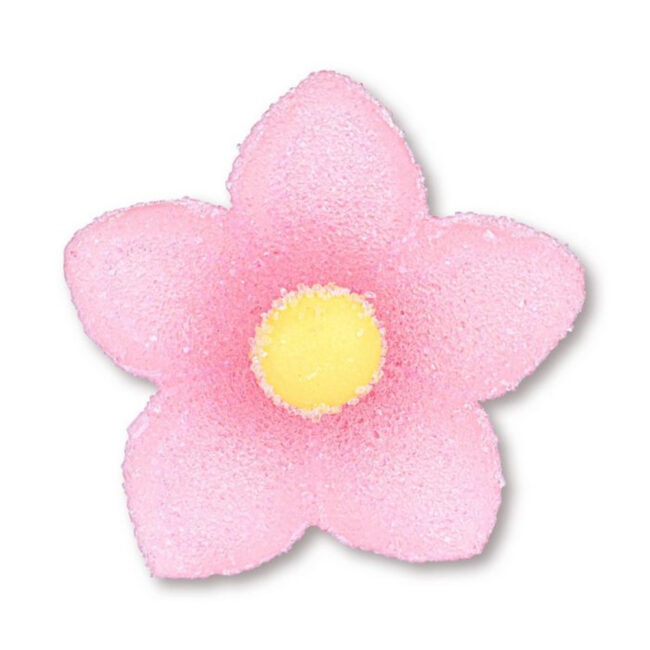 SUGAR GEL CROCUS 6CLRS - Image 5