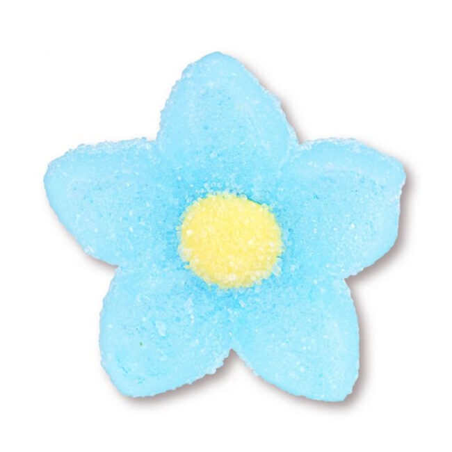 SUGAR GEL CROCUS 6CLRS - Image 4