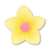 SUGAR GEL CROCUS 6CLRS - Image 3