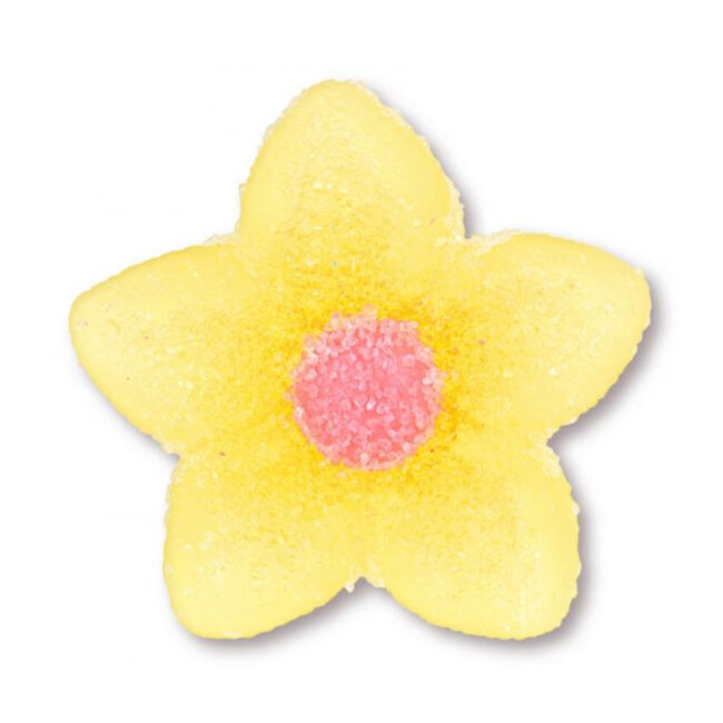 SUGAR GEL CROCUS 6CLRS - Image 3