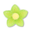 SUGAR GEL CROCUS 6CLRS - Image 2