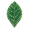 LEAF ASSORTMENT WF (5MODELS) 300PCS - Image 4
