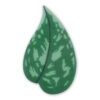 LEAF ASSORTMENT WF (5MODELS) 300PCS - Image 2