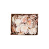 SHELL NATURAL 0.875GR
