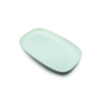 BAGASTRO CATERING TRAY 45X29XH2.5CM