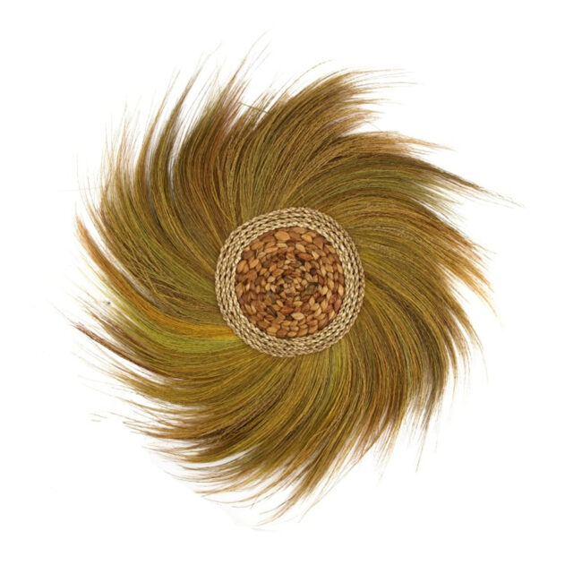 WALL ART PLUME NATURE 59X2CM