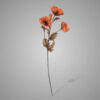 POPPY BUNDLE DE LUXE BRIC 105CM