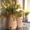 PLANTER BRYNXZ BEST WITH HANDLE  MAJESTIC BEIGE LARGE D22XH27CM - Image 2