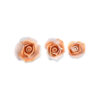 SUGAR SHADED ROSES APRICOT/WHITE