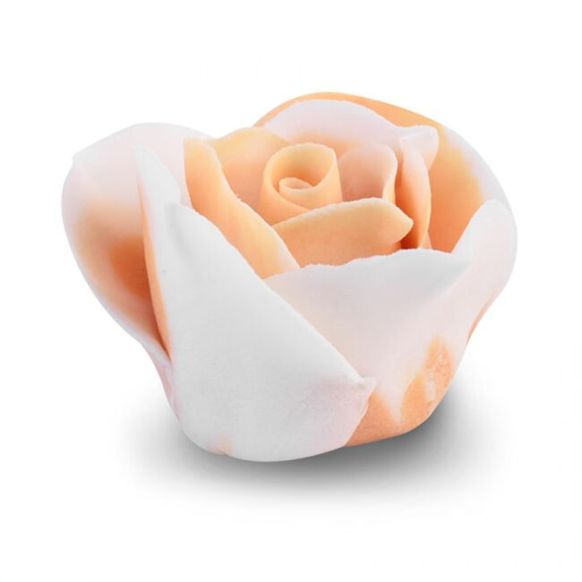 SUGAR SHADED ROSES APRICOT/WHITE - Image 3