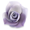 SUGAR SHADED ROSES LILAC/WHITE - Image 2