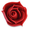 SUGAR RED ROSE BUDS