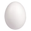 STYROFOAM EGGS FULL