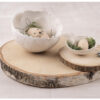 STRUCTURAL PASTE FINE BOX 500G - Image 2