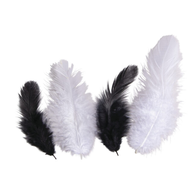 FEATHER MIX 3-10CM 10G - Image 6