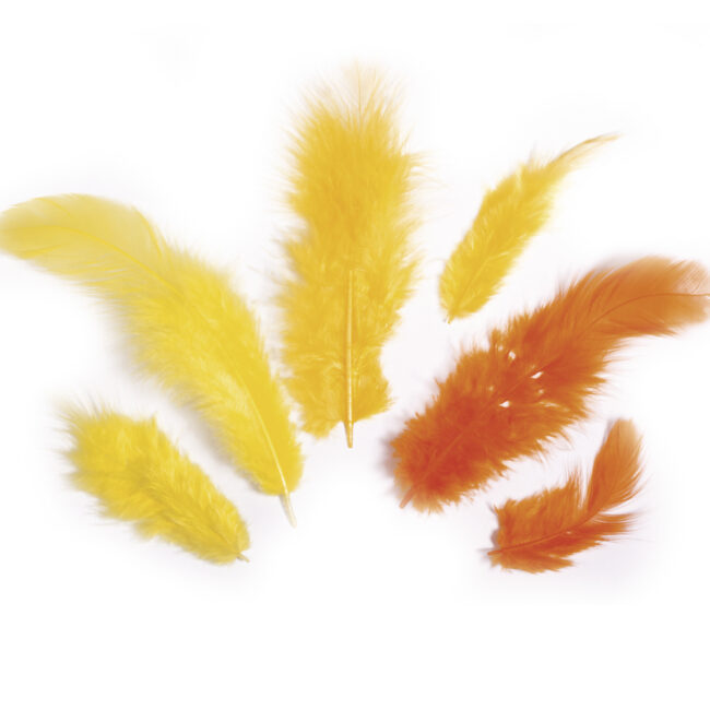 FEATHER MIX 3-10CM 10G - Image 5